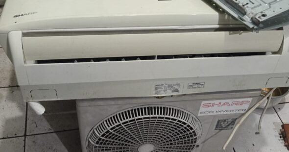 WhatsApp Image 2026-02-26 at 14.19.18 (1)