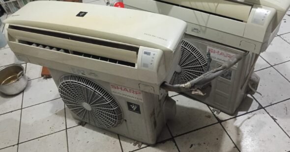 WhatsApp Image 2026-02-26 at 14.19.18